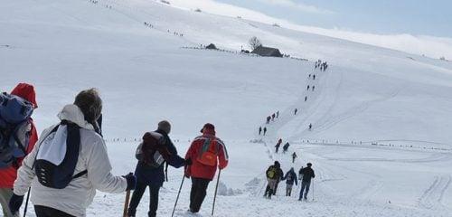 Les traces du fromage – Aubrac-Laguiole-FR