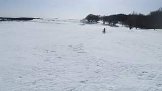 Regarder la vidéo